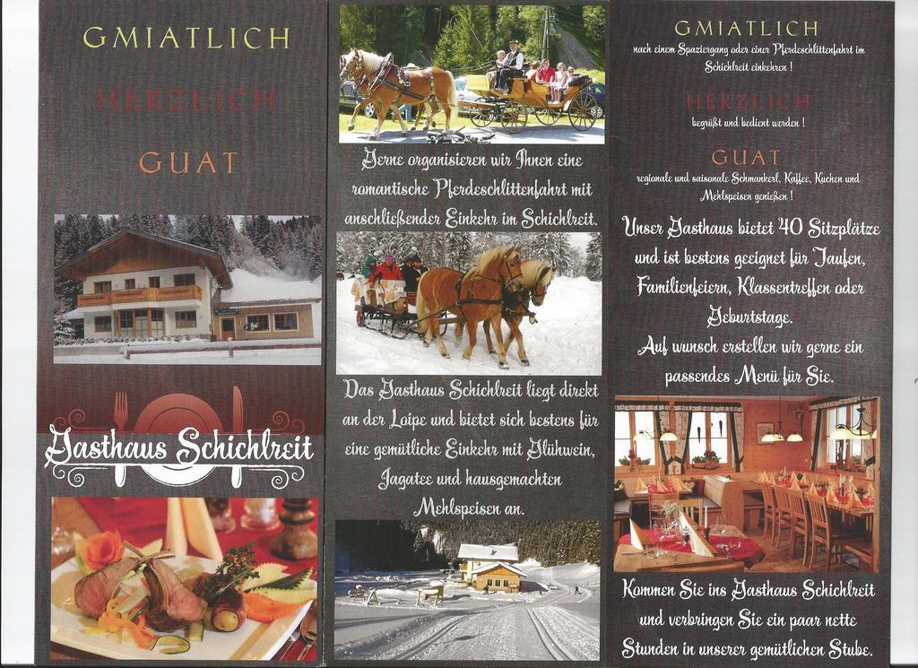 Schwarzenbacher Lungötz Camera foto