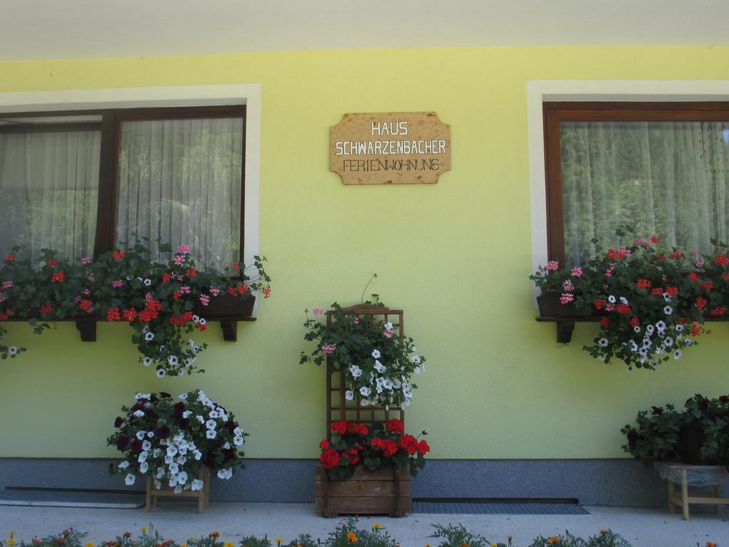Schwarzenbacher Lungötz Camera foto